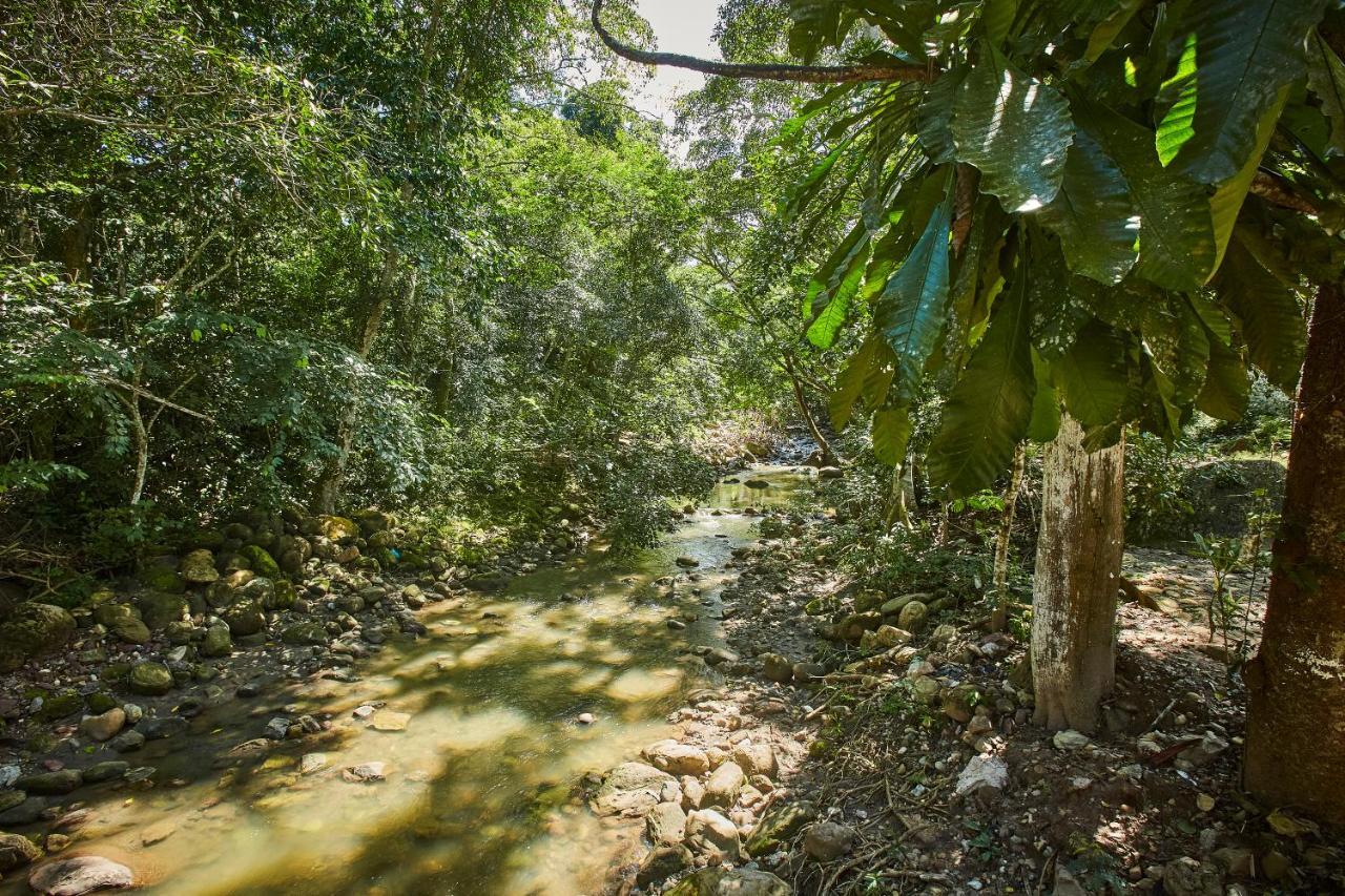 Villa Lu Amazon Ecolodge Tarapoto Bagian luar foto