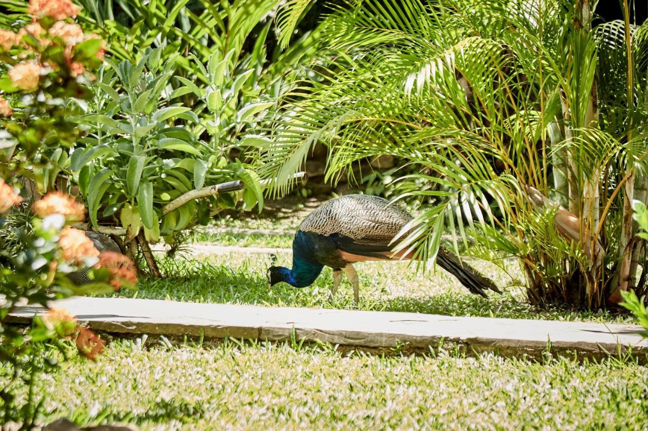 Villa Lu Amazon Ecolodge Tarapoto Bagian luar foto