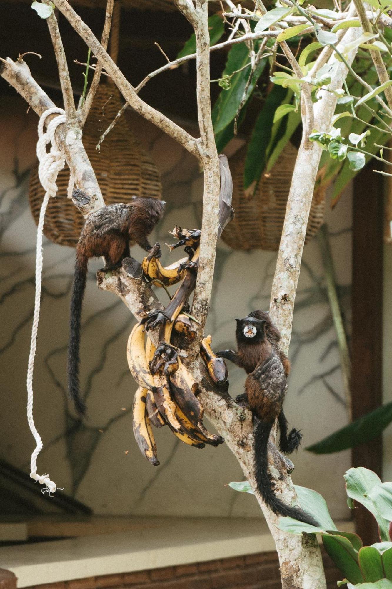 Villa Lu Amazon Ecolodge Tarapoto Bagian luar foto